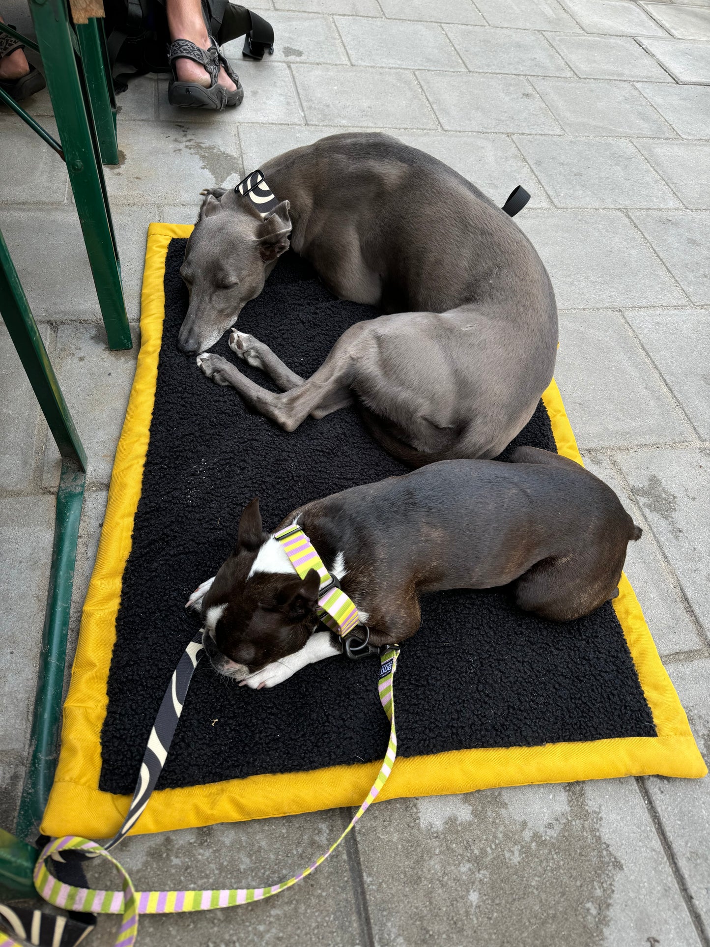 The Pub Mat