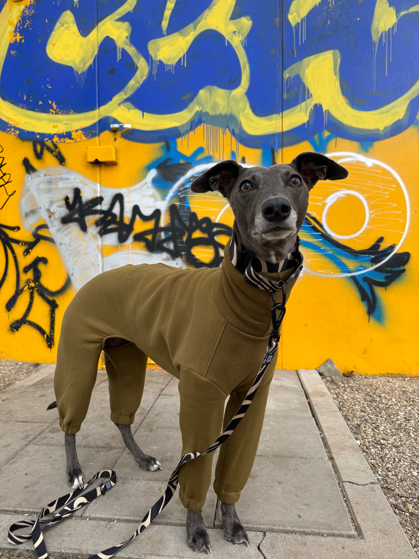 The Houndsuit