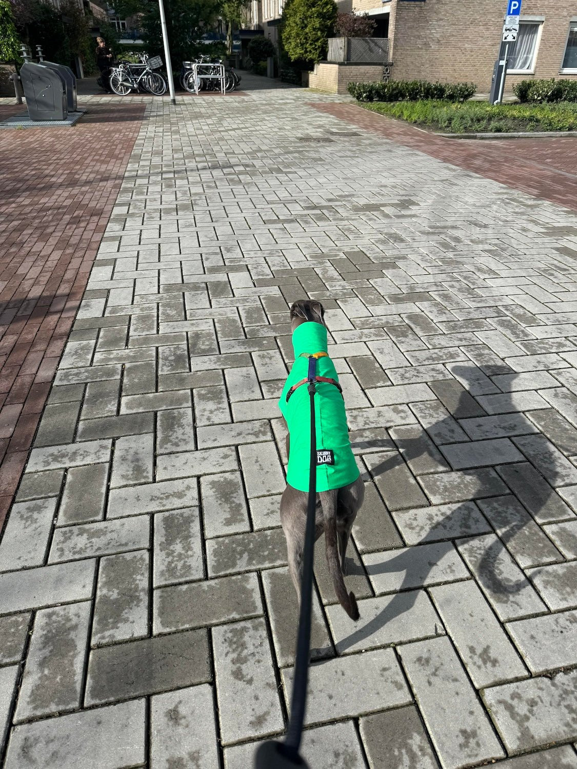 The Inbetweener - Longsleeve - Skinny Dog Collective