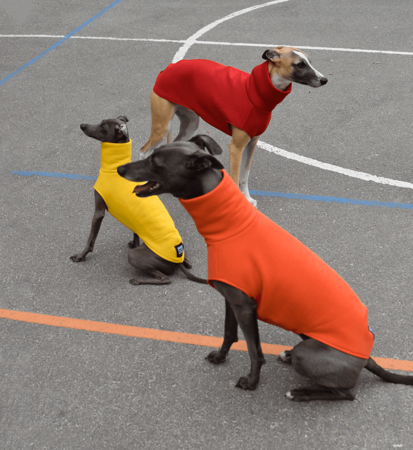 The Daily Sleeveless' in ruby, tangerine and sunflower - Skinny Dog Collective