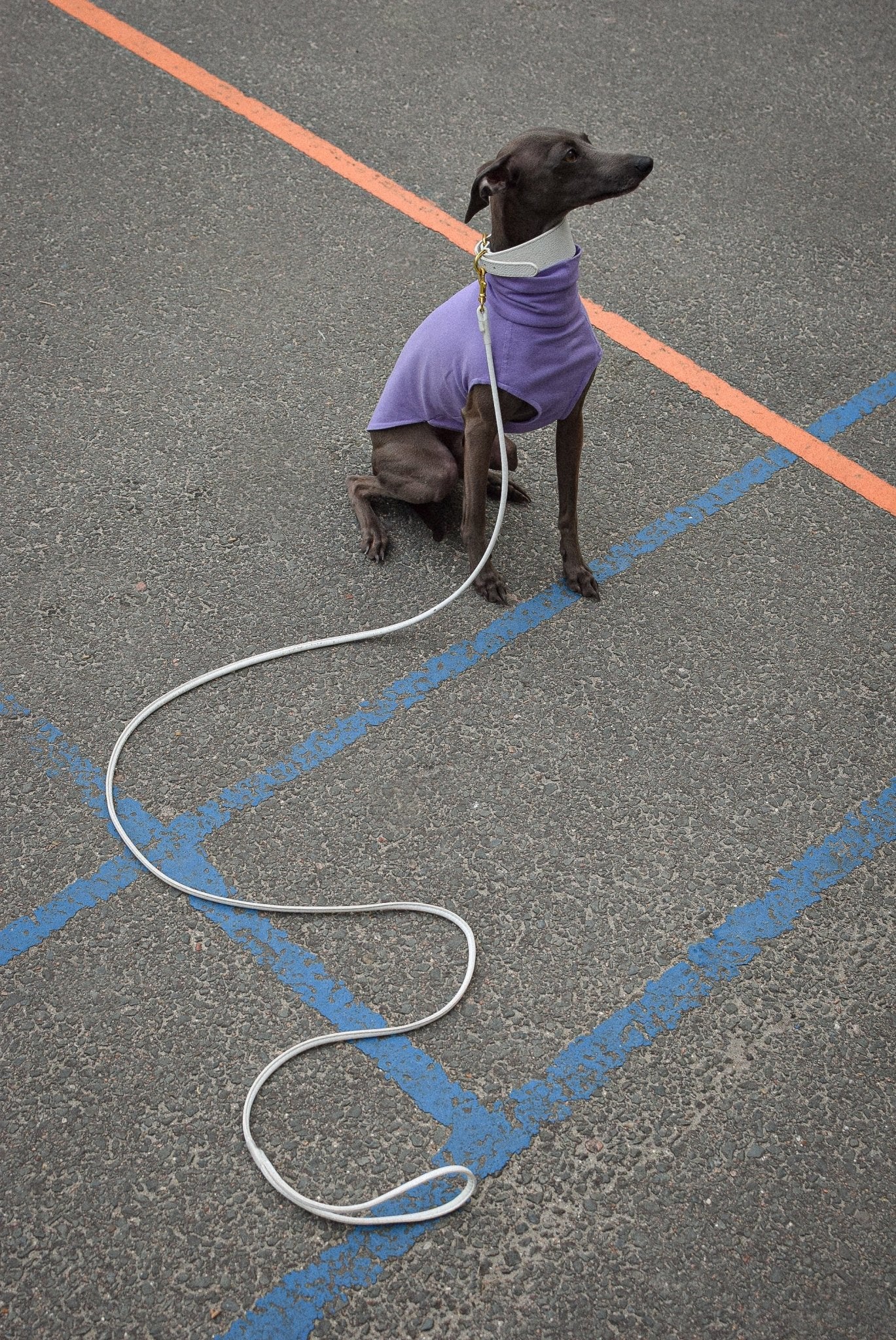 The Inbetweener - Longsleeve in lilac- Skinny Dog Collective
