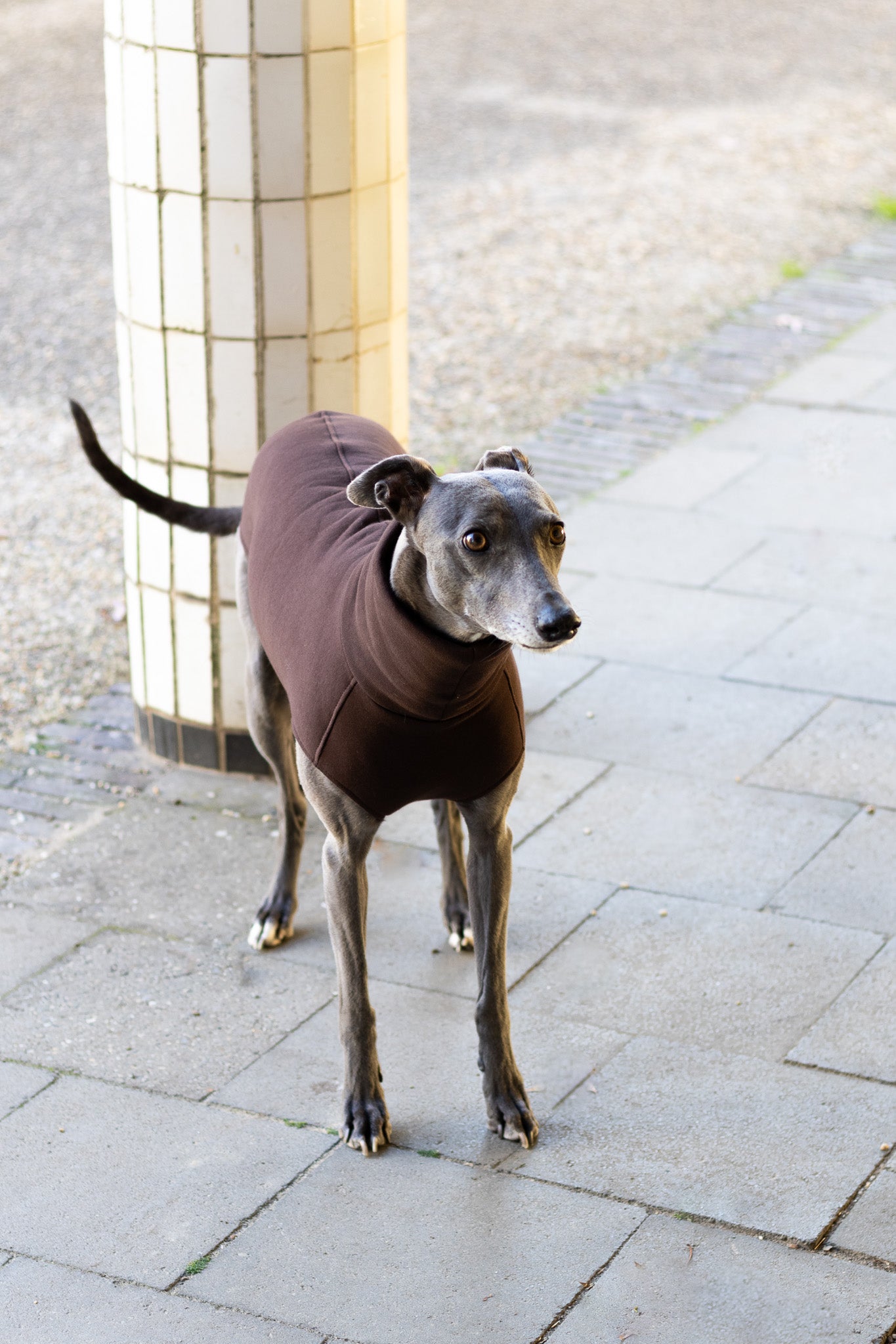 The Daily Longsleeve