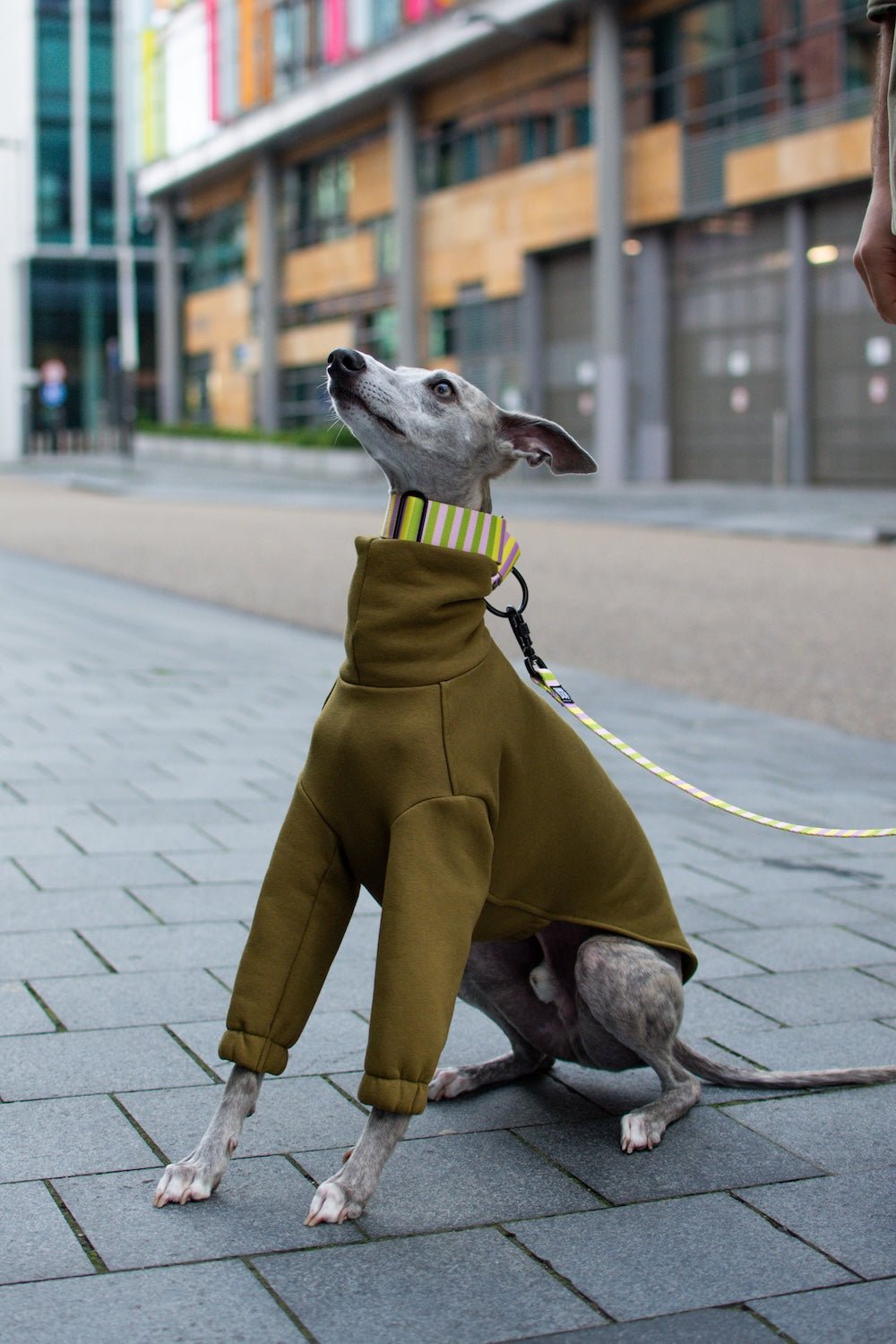 The Daily Longsleeve - Skinny Dog Collective