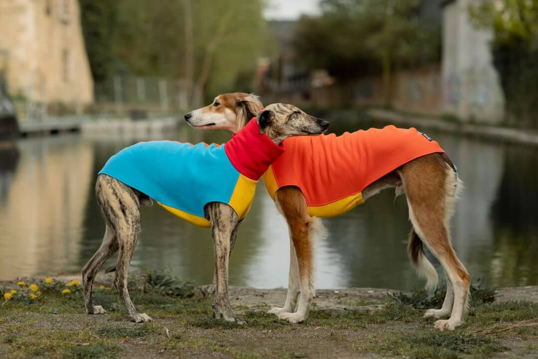 The Daily Sleeveless - Skinny Dog Collective