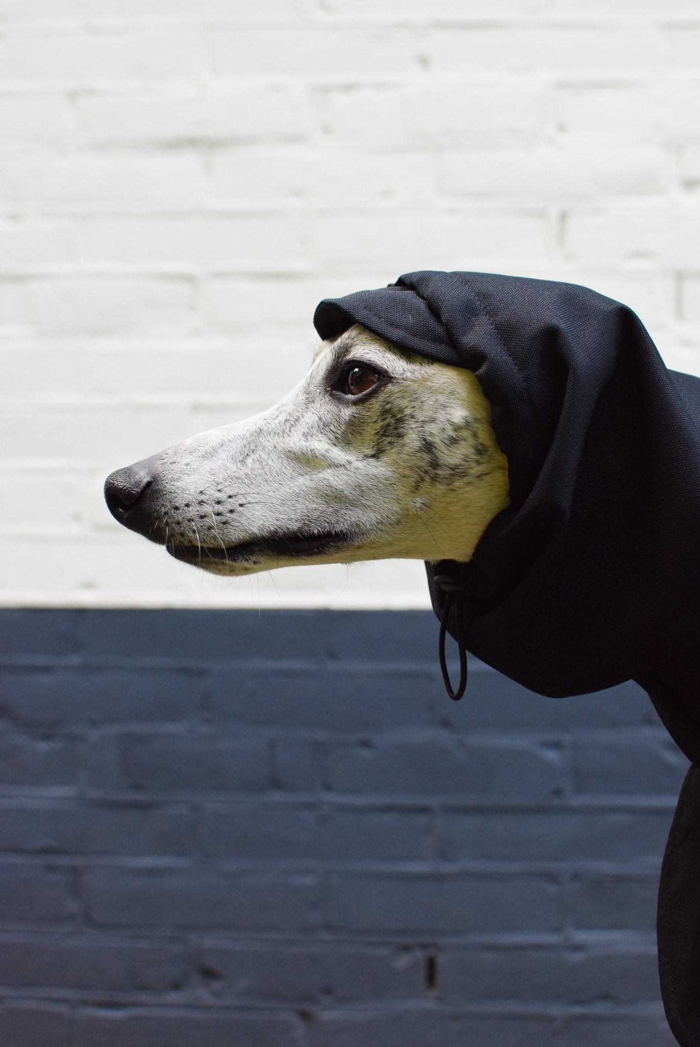 The Dramac (wholesale) - Skinny Dog Collective