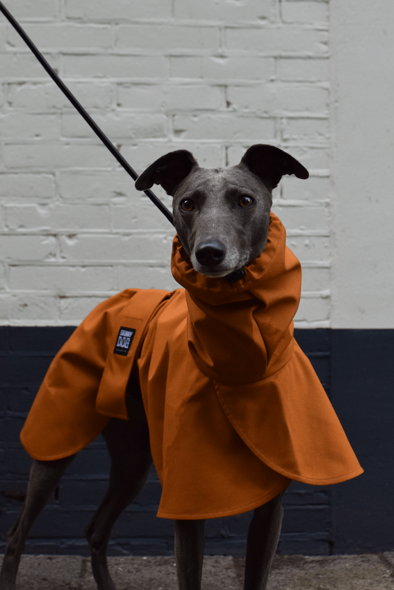 The Dramac (wholesale) - Skinny Dog Collective