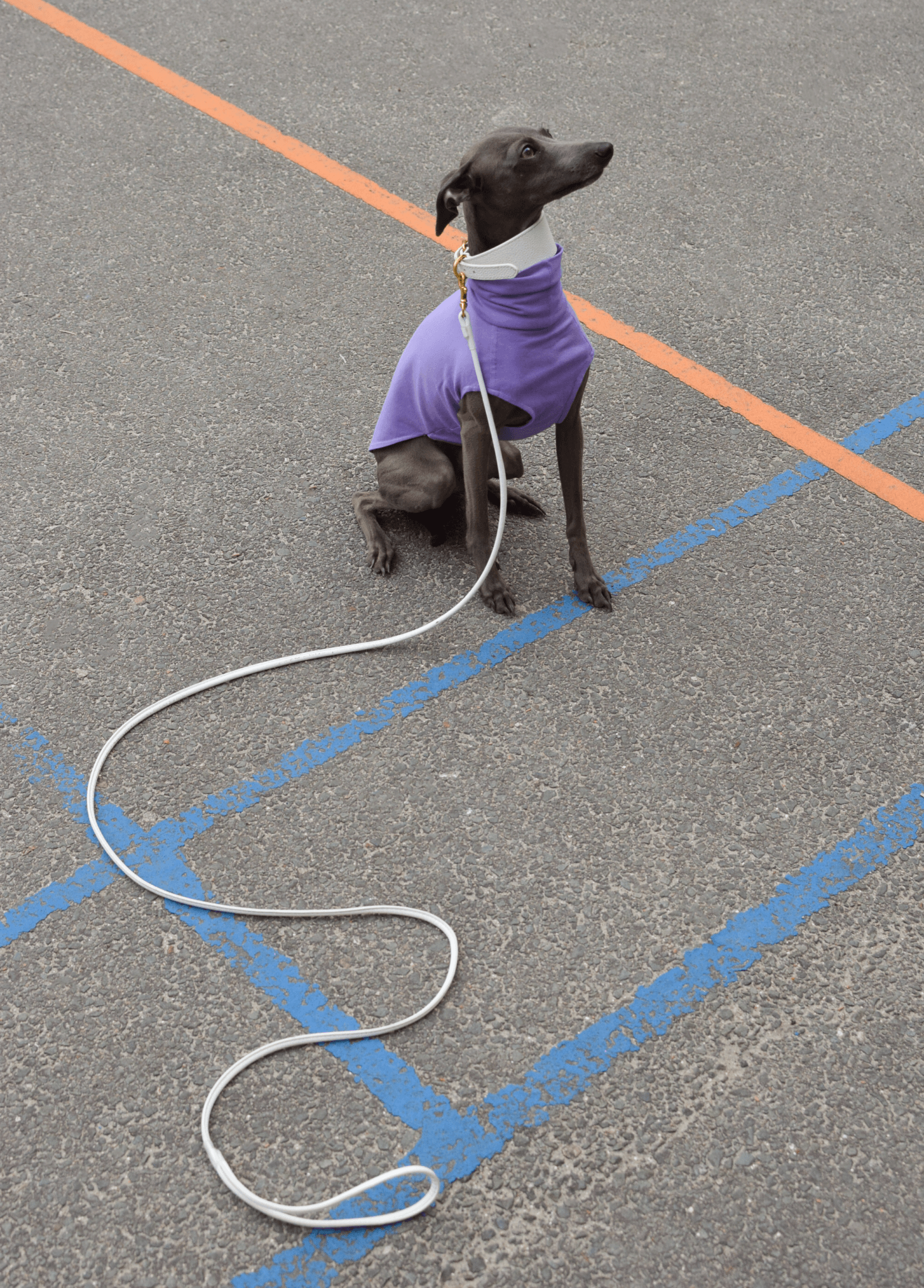 The Inbetweener - Sleeveless (Wholesale) - Skinny Dog Collective