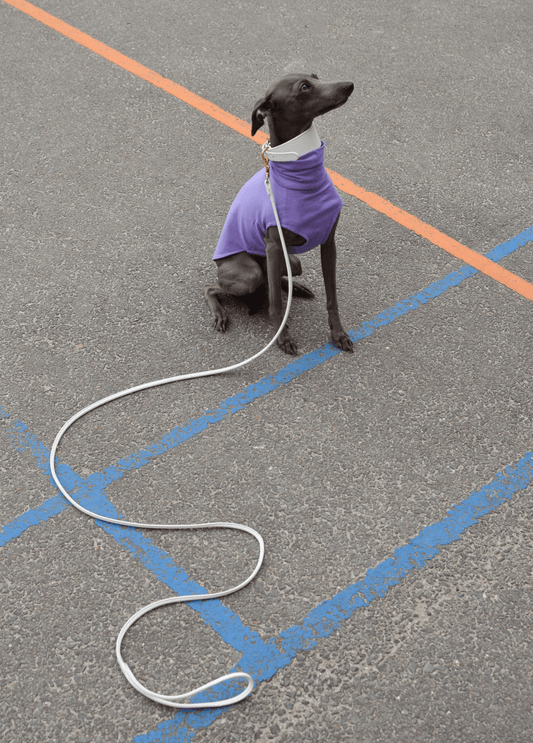 The Inbetweener - Sleeveless (Wholesale) - Skinny Dog Collective