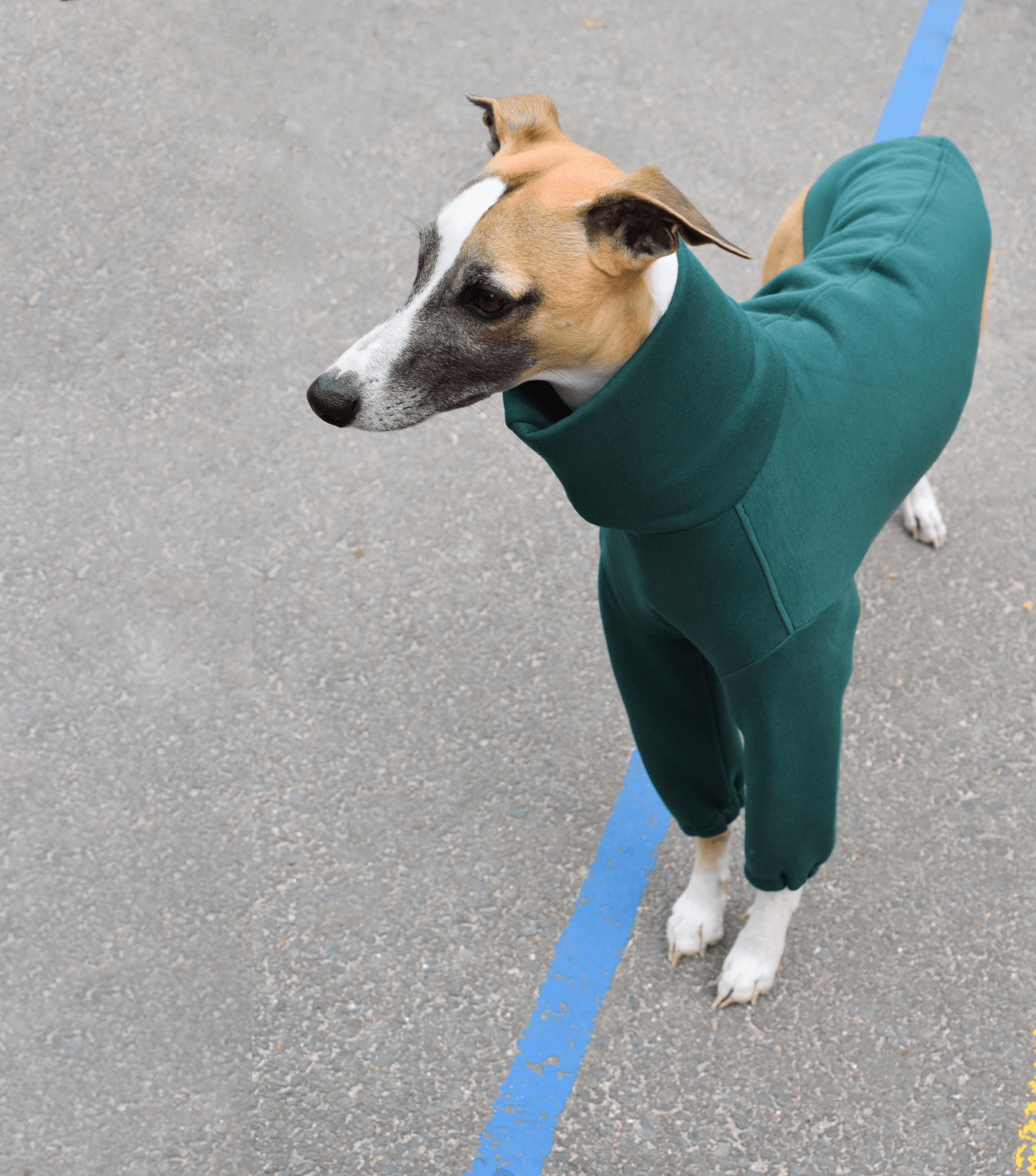 The Daily Longsleeve in emerald- Skinny Dog Collective