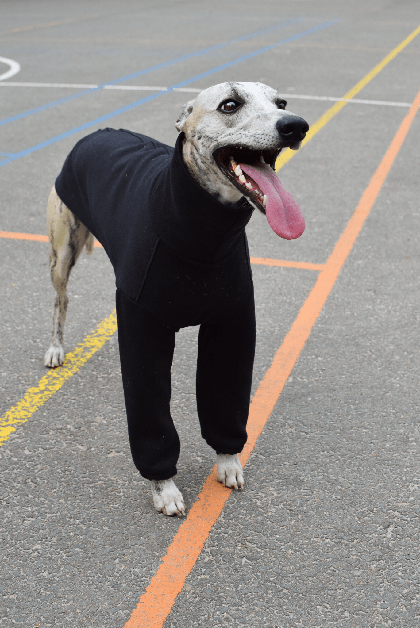 The Daily Longsleeve in black- Skinny Dog Collective