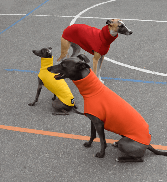 The Daily Sleeveless' in ruby, tangerine and sunflower - Skinny Dog Collective