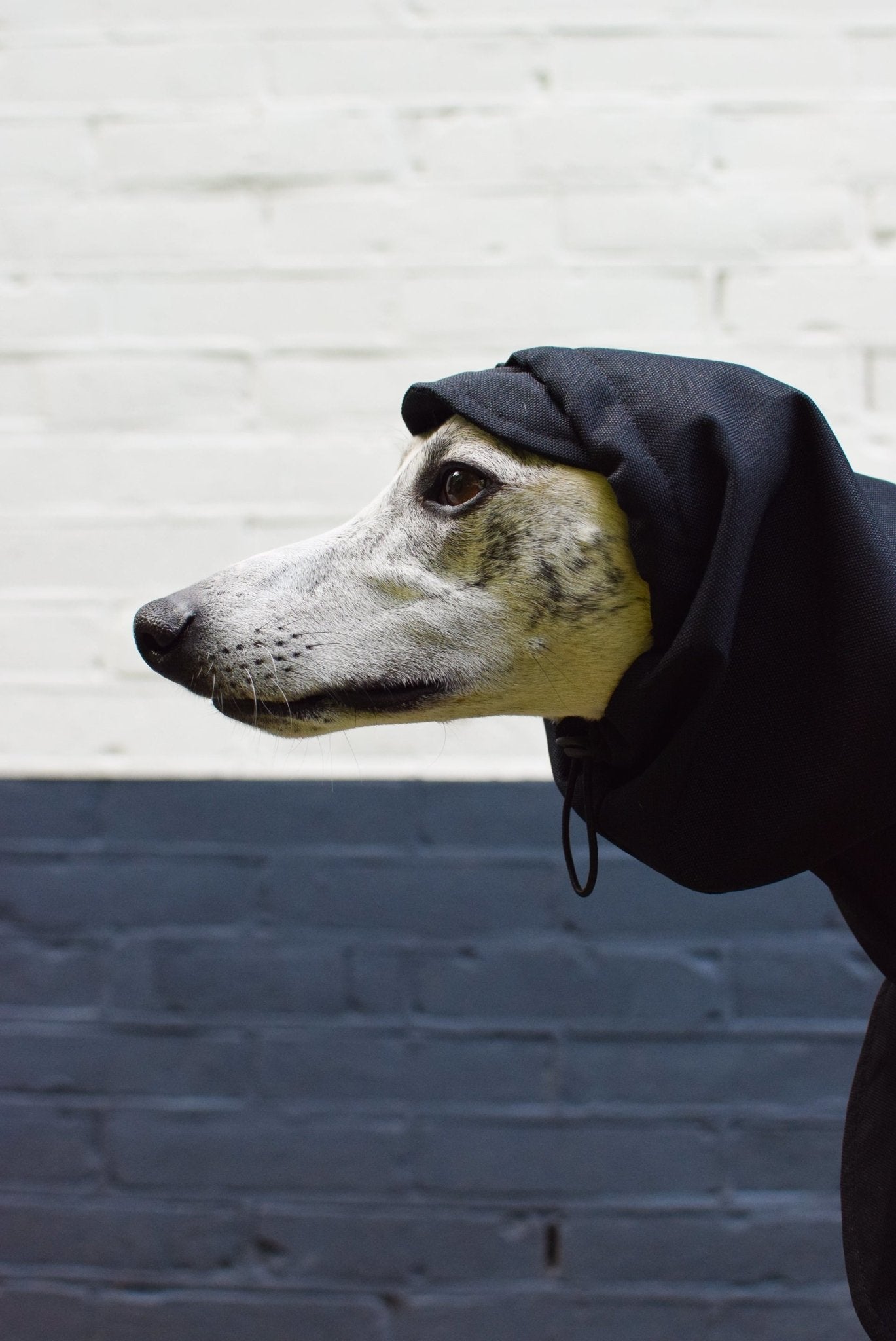 The Dramac in black - Skinny Dog Collective