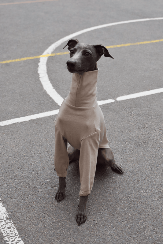 The Inbetweener - Longsleeve in sand - Skinny Dog Collective