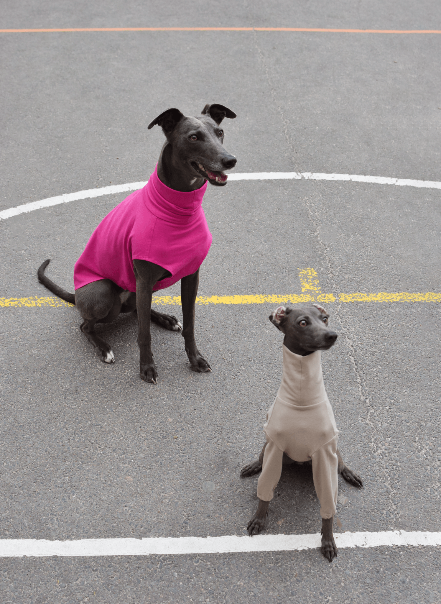 The Inbetweener - Sleeveless in fuschia and sand - Skinny Dog Collective