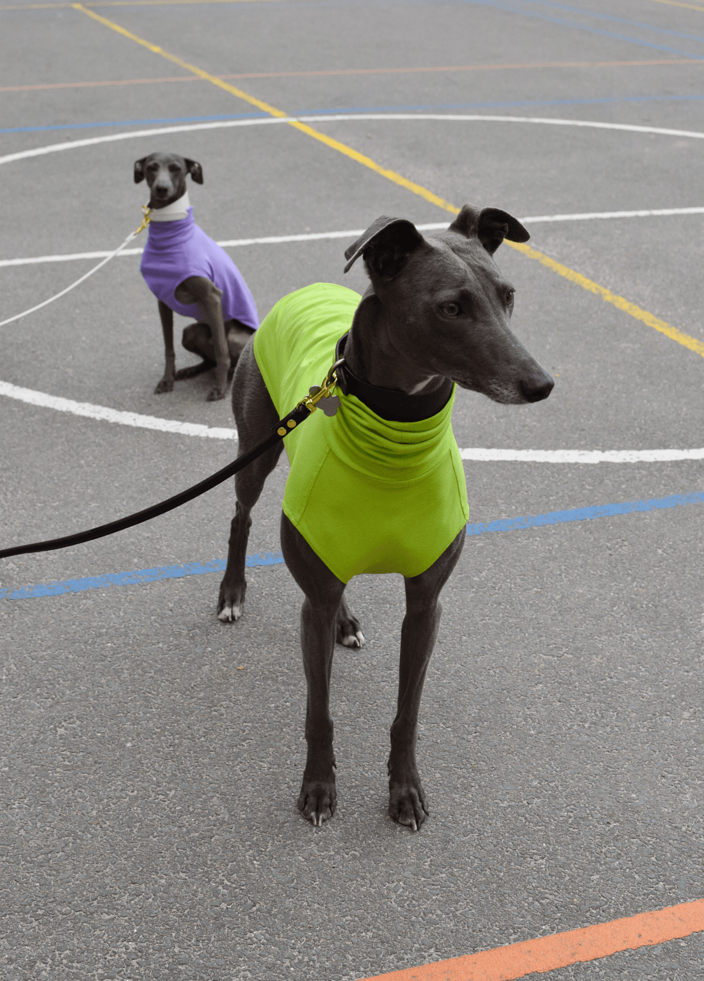 The Inbetweener - Sleeveless in lilac and lime- Skinny Dog Collective